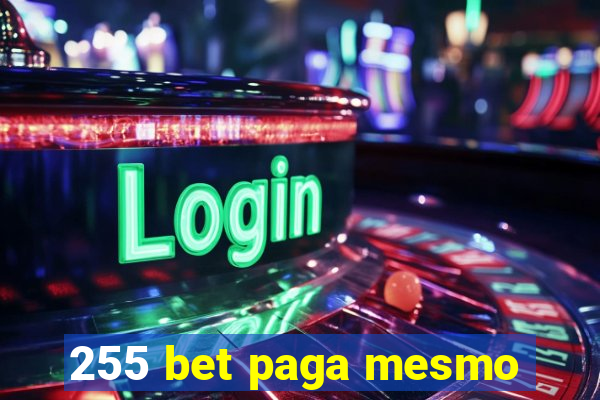 255 bet paga mesmo